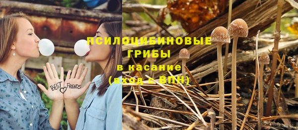 apvp Абдулино