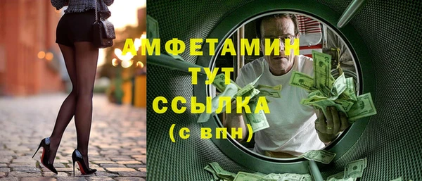 гидра Абаза