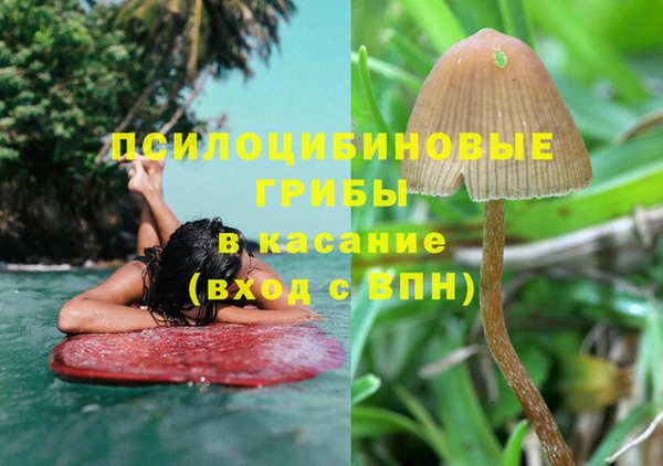 гидра Абаза