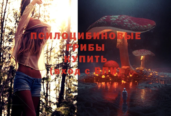 apvp Абдулино