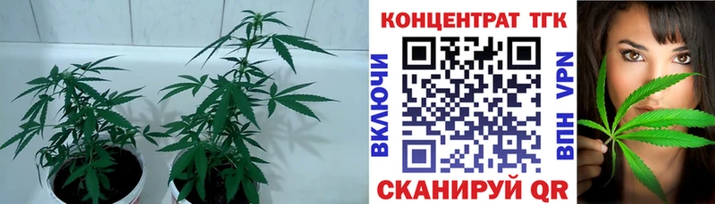 ТГК вейп с тгк  Лабытнанги 