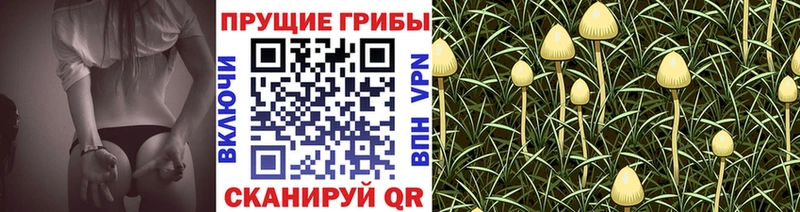 Галлюциногенные грибы Magic Shrooms  Лабытнанги 